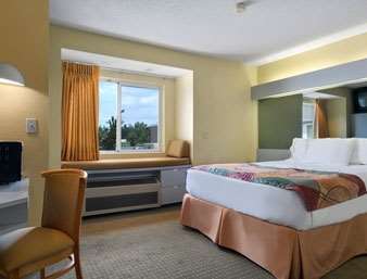 Best Western Buffalo Inn & Suites Williamsville Habitación foto